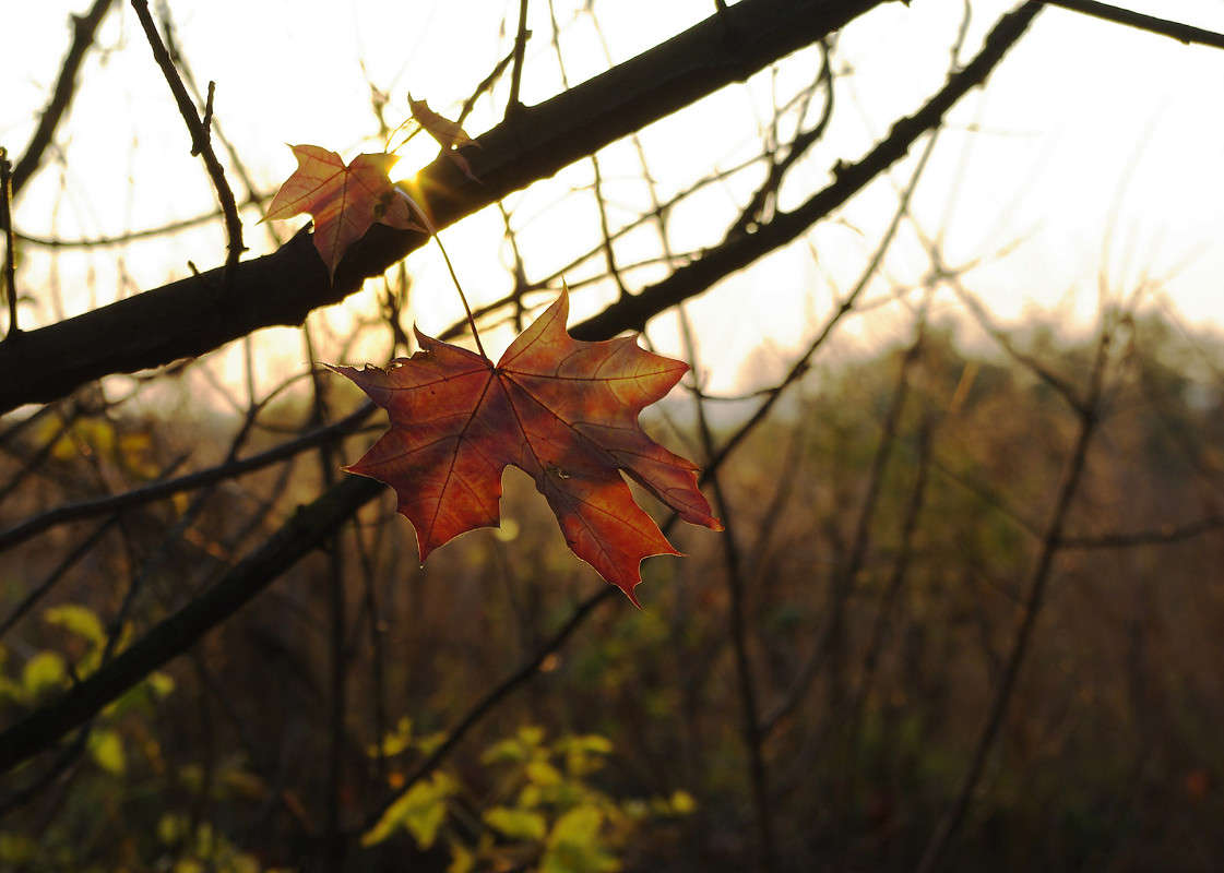 ... ����� ����� ������� �� PhotoGeek.ru #������ ��� ������� #�����