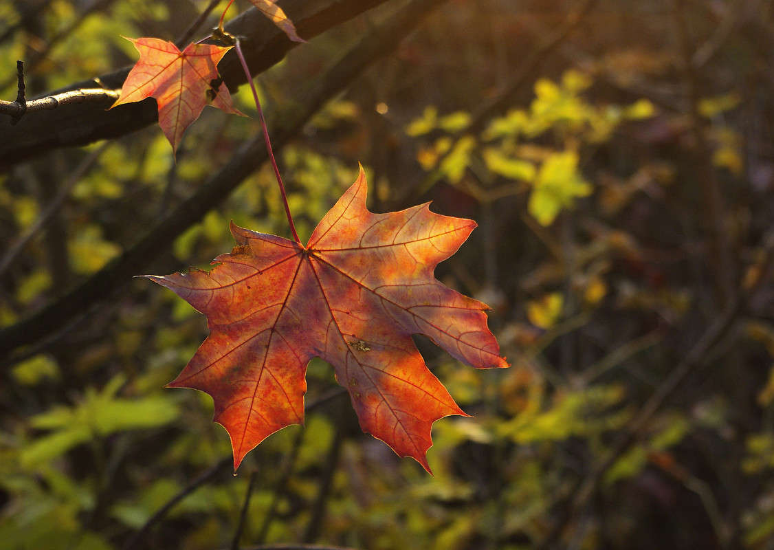 � ����� ��������� ������ ����� ����� ������� �� PhotoGeek.ru #������ ��� ������� #���� #�����