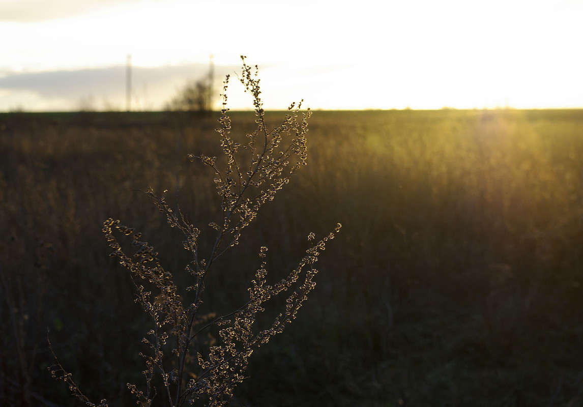 ... ����� ����� ������� �� PhotoGeek.ru #������ ��� �������