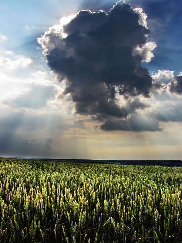 ... ����� ����� ������� �� PhotoGeek.ru #������ ��� �������