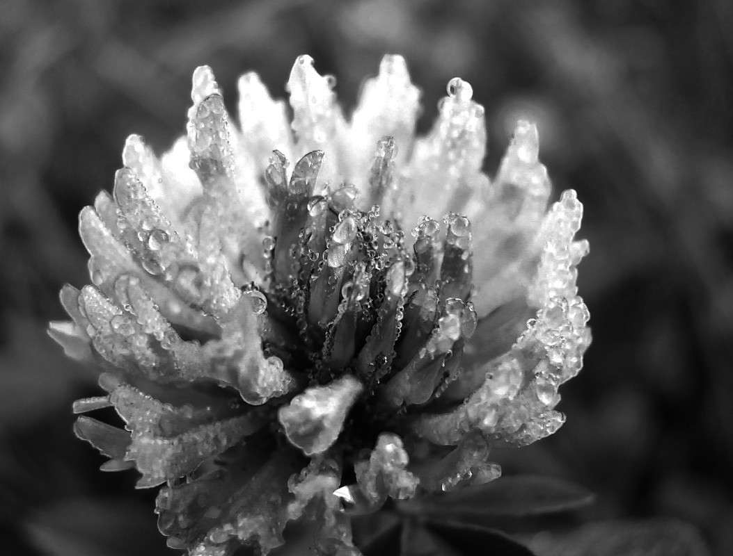 ... ����� ����� ������� �� PhotoGeek.ru #����� #������ ��� ������� #�����-�����