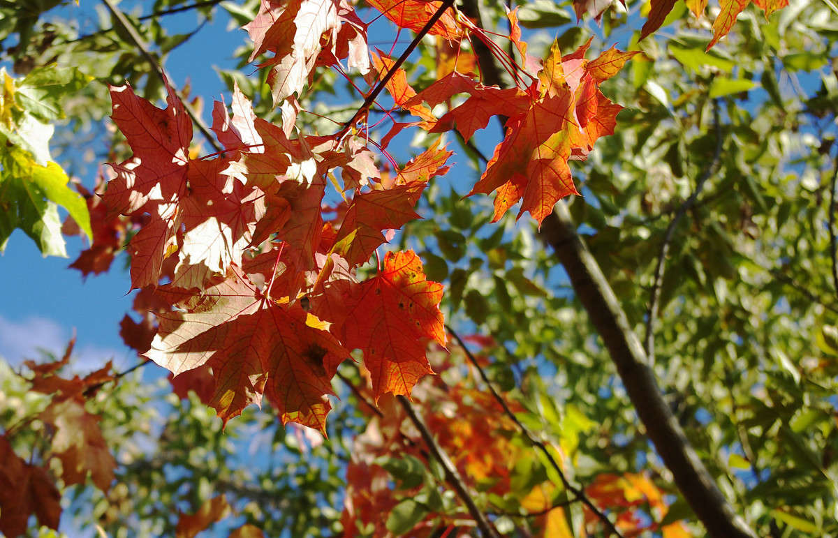 ... ����� ����� ������� �� PhotoGeek.ru #������ ��� ������� #����� ��������������