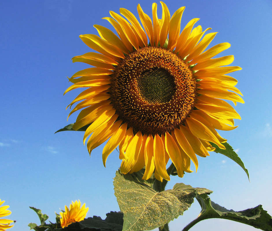 ... ����� ����� ������� �� PhotoGeek.ru #������ ��� ������� #����� ��������������