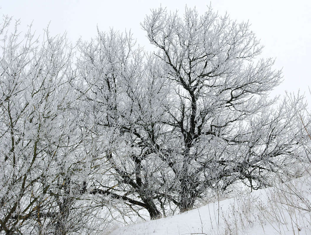 ... ����� ����� ������� �� PhotoGeek.ru #������ ��� �������