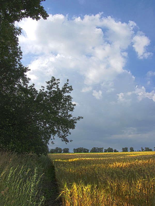 ... ����� ����� ������� �� PhotoGeek.ru #������ ��� �������