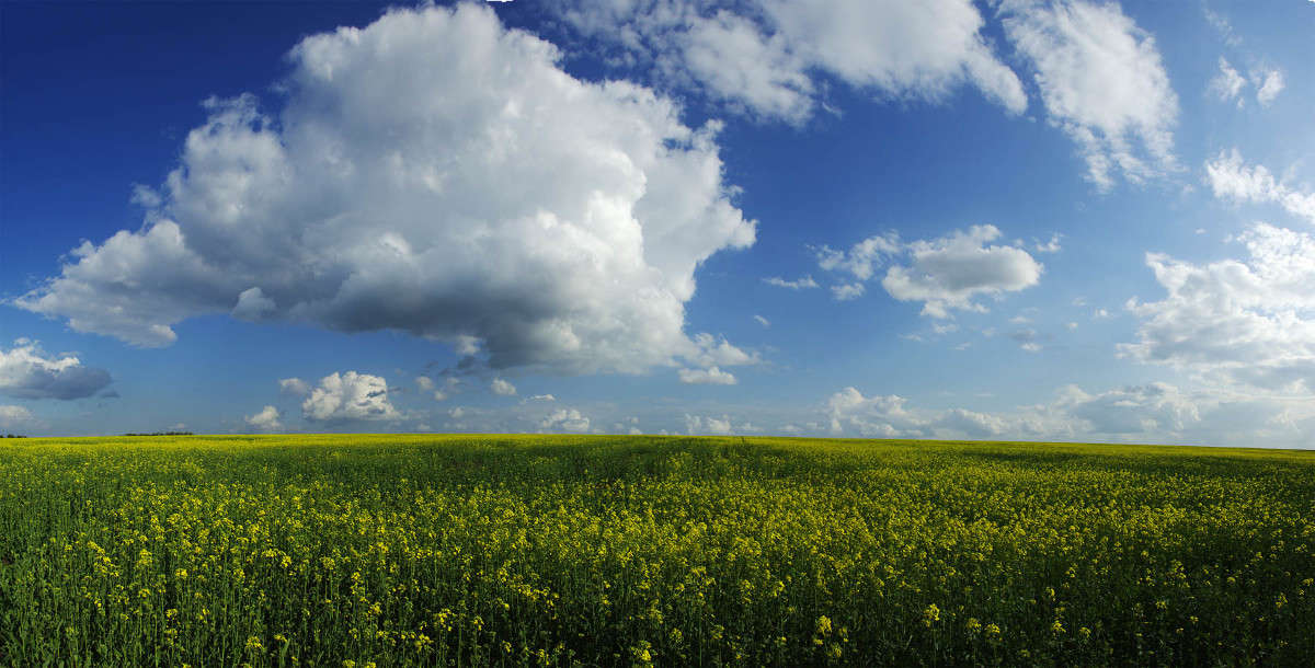 ... ����� ����� ������� �� PhotoGeek.ru #������ ��� �������
