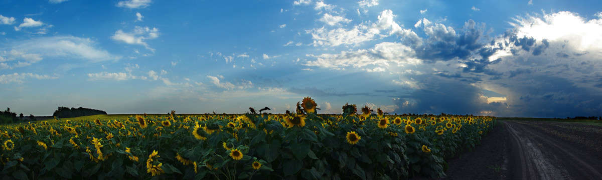 ... ����� ����� ������� �� PhotoGeek.ru #������ ��� ������� #��������