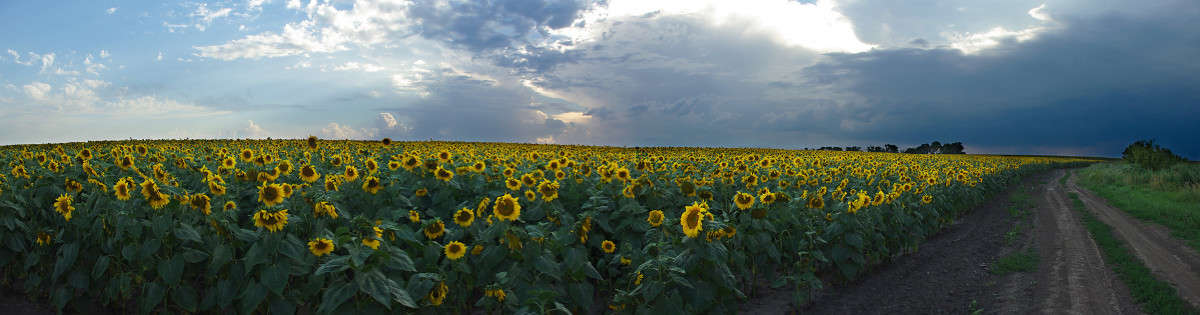 ... ����� ����� ������� �� PhotoGeek.ru #������ ��� ������� #��������