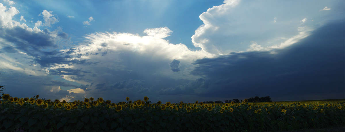 ... ����� ����� ������� �� PhotoGeek.ru #������ ��� ������� #��������