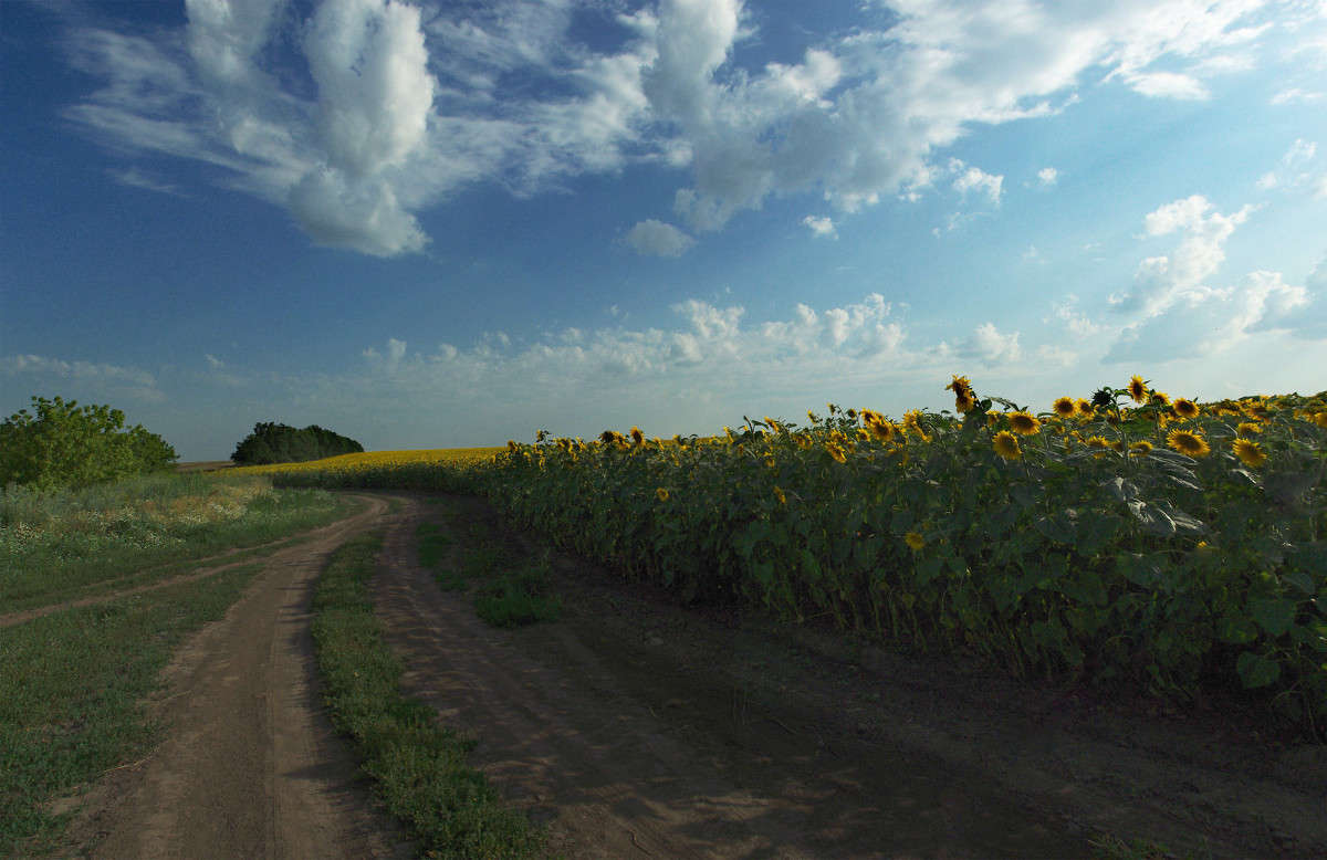 ... ����� ����� ������� �� PhotoGeek.ru #������ ��� ������� #��������