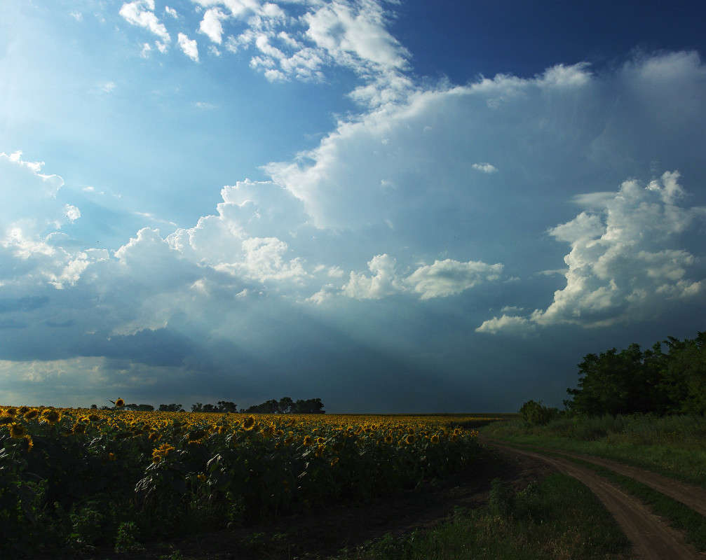 ... ����� ����� ������� �� PhotoGeek.ru #������ ��� �������