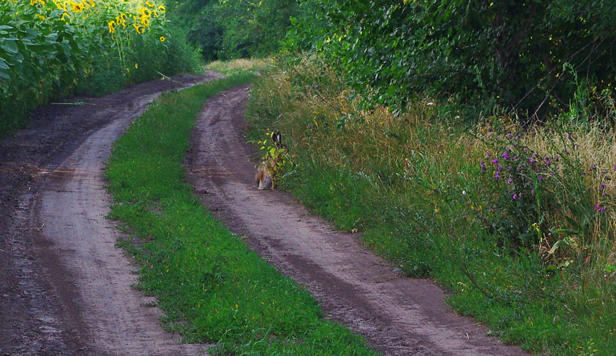 ... ����� ����� ������� �� PhotoGeek.ru #�������� ��� #����� ��� ��� ���������