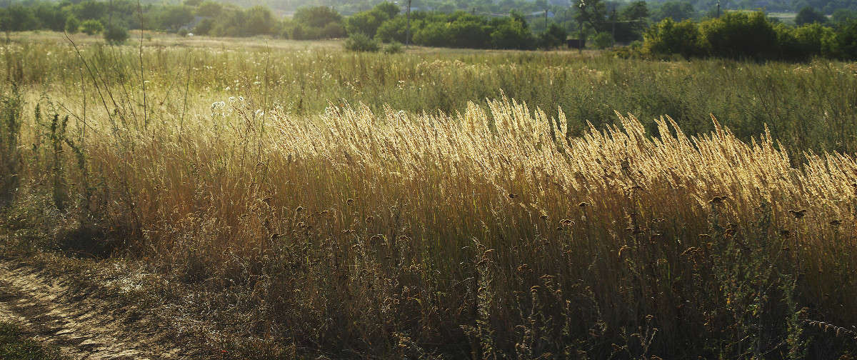 ... ����� ����� ������� �� PhotoGeek.ru #������ ��� �������