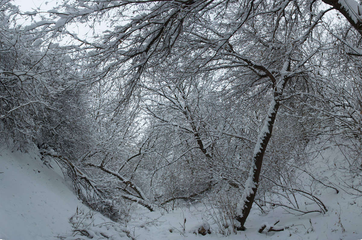 ... ����� ����� ������� �� PhotoGeek.ru #������ ��� ������� #��������