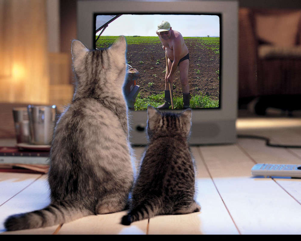 ��� ��� ����� ������ ������� �� PhotoGeek.ru #�������� ���