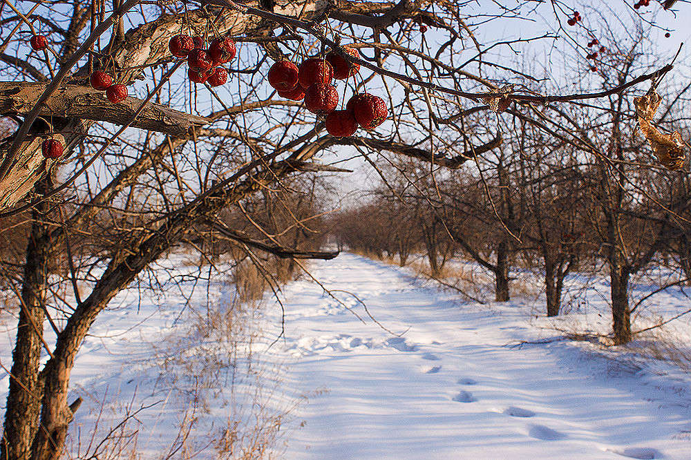 ����� �������. ����� ������ ������� �� PhotoGeek.ru #������ ��� �������