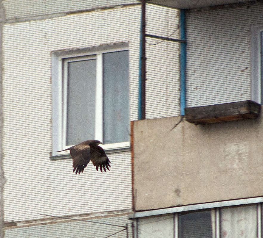 ������� ���... ? ����� ������ ������� �� PhotoGeek.ru #�������� ����������