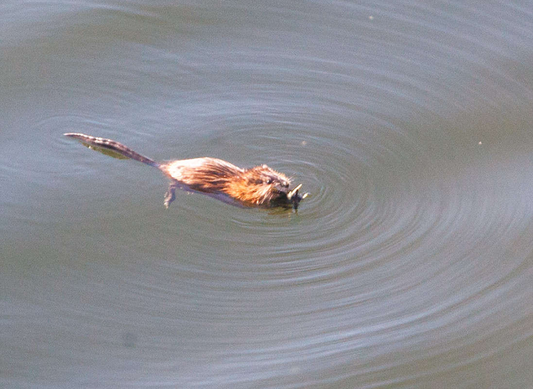 ������� �����. ����� ������ ������� �� PhotoGeek.ru #�������� ���