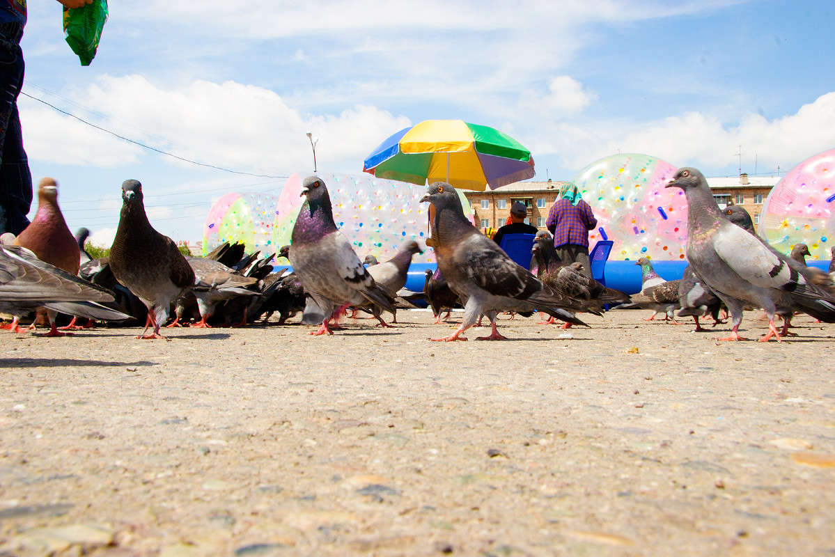 �������. ����� ������ ������� �� PhotoGeek.ru #�������� ����������