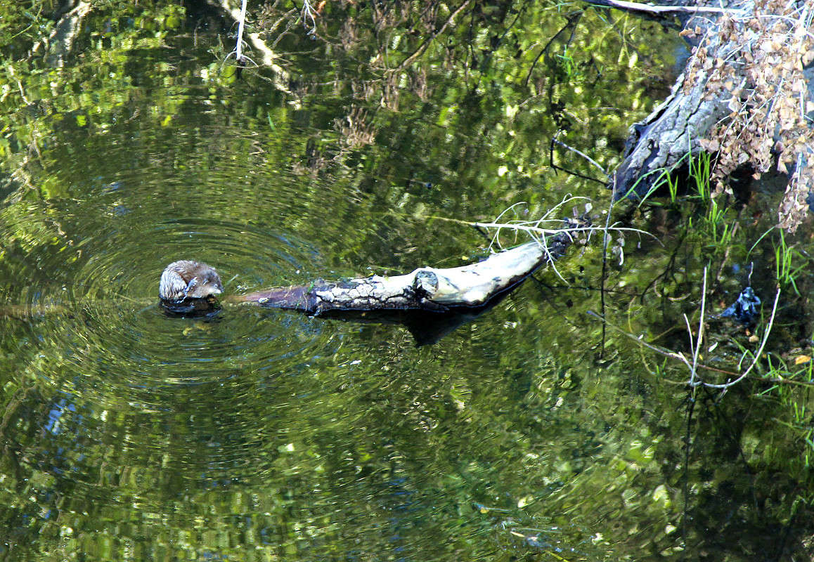 ��������. ����� ������ ������� �� PhotoGeek.ru #�������� ���