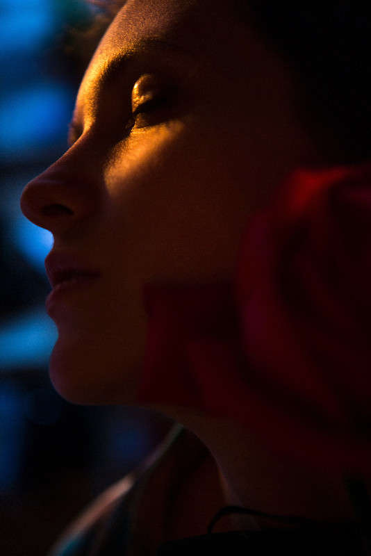 Red rose ����� ���� ������ �� PhotoGeek.ru #�������