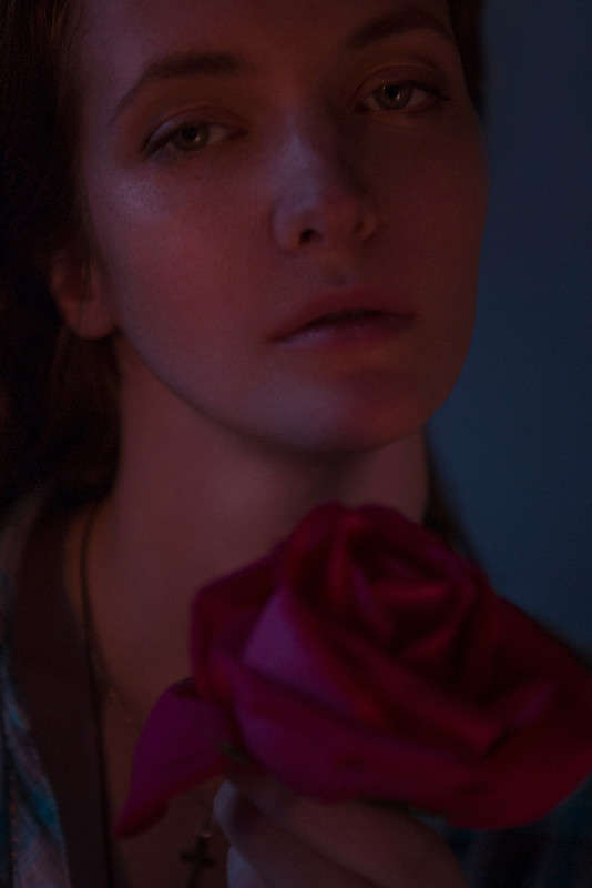 Red rose ����� ���� ������ �� PhotoGeek.ru #�������