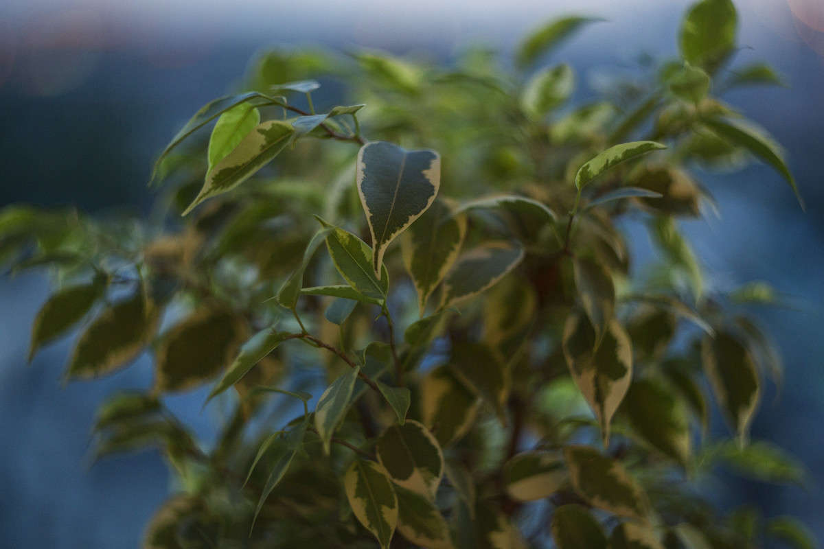 ������� �� ������� 44 53 ���� ����� ���� ������ �� PhotoGeek.ru #������ ��� ������� #���������������