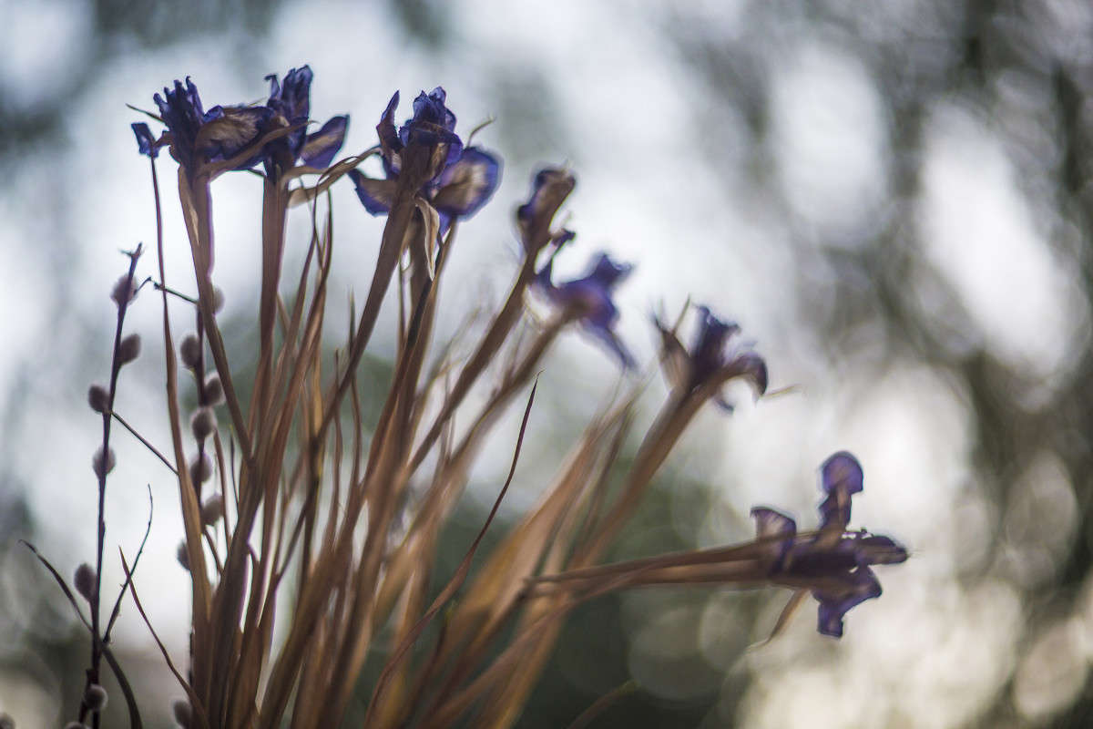 ���� ���� ������ �� "���!". ������-40 62���� �������.) ����� ���� ������ �� PhotoGeek.ru #���������