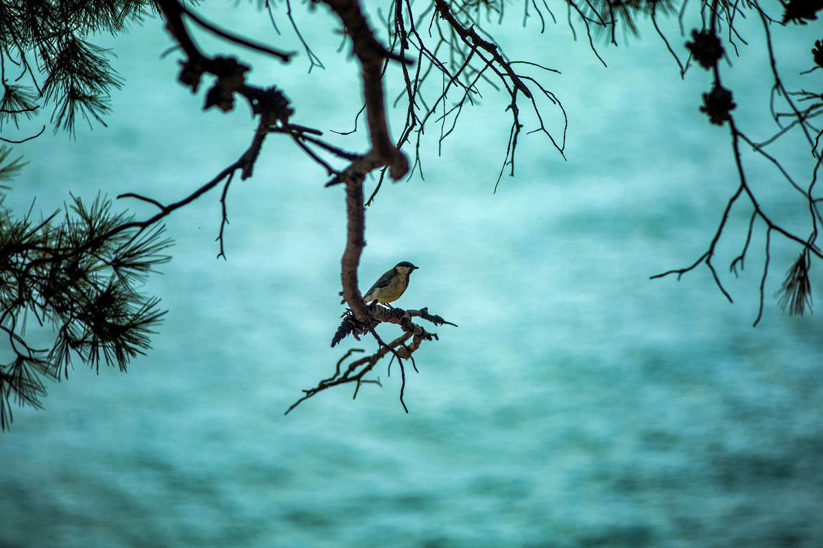 ���� 2014 ����� ���� ������ �� PhotoGeek.ru #�������� ���