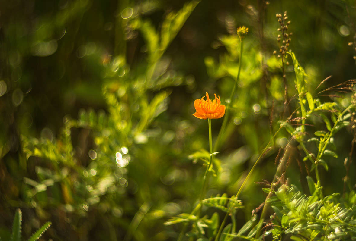 ���� �� �����, ��� �������... ����� ���� ��������� �� PhotoGeek.ru #������ ��� �������