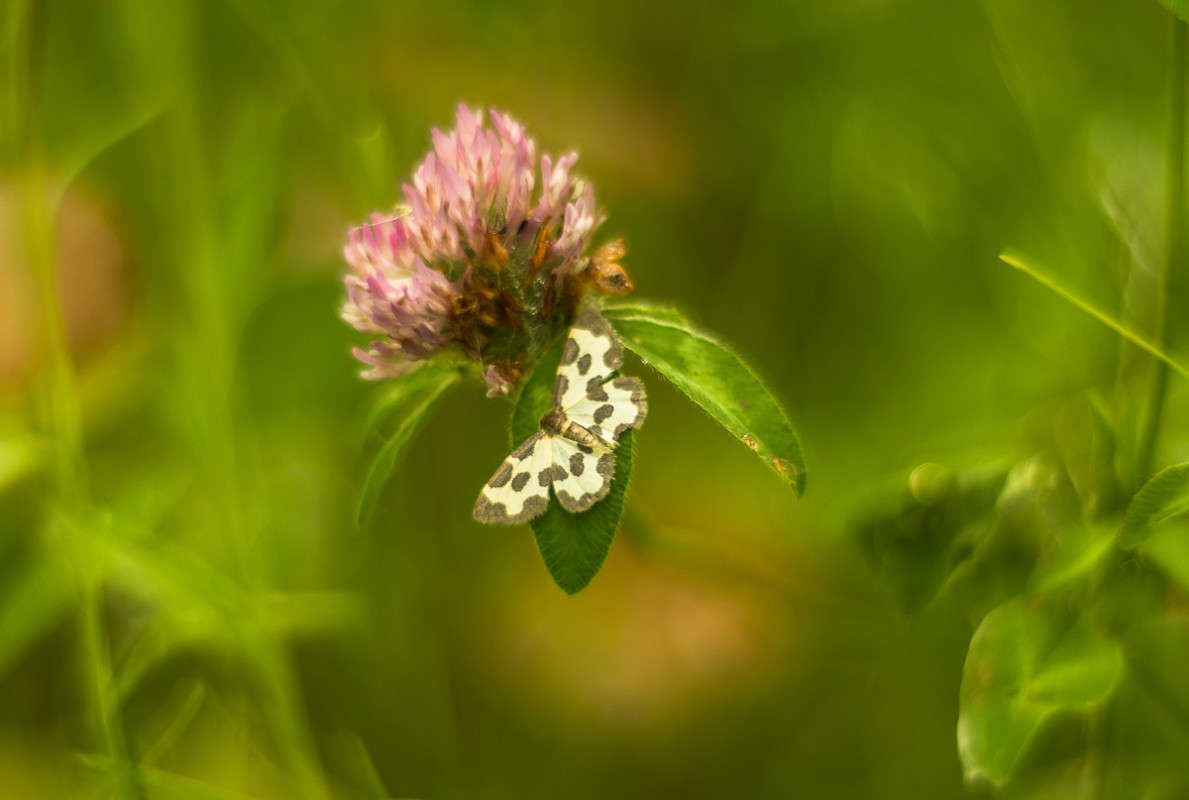 ��� ����� ��� ������...:) ����� ���� ��������� �� PhotoGeek.ru #�����