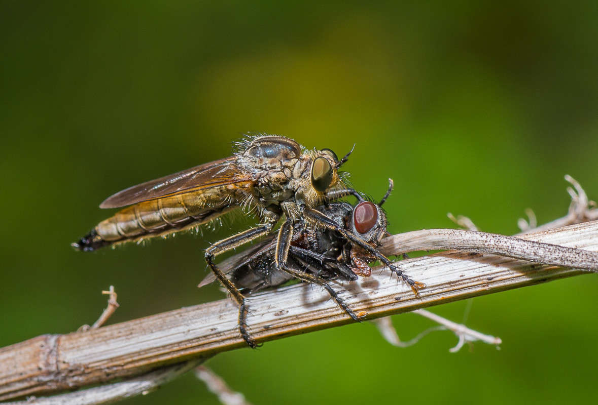 ���� ����... ����� ���� ��������� �� PhotoGeek.ru #�����