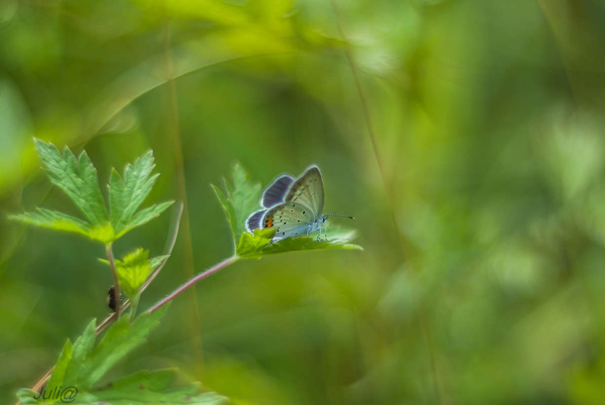 ������ �� �������... ����� ���� ��������� �� PhotoGeek.ru #�����