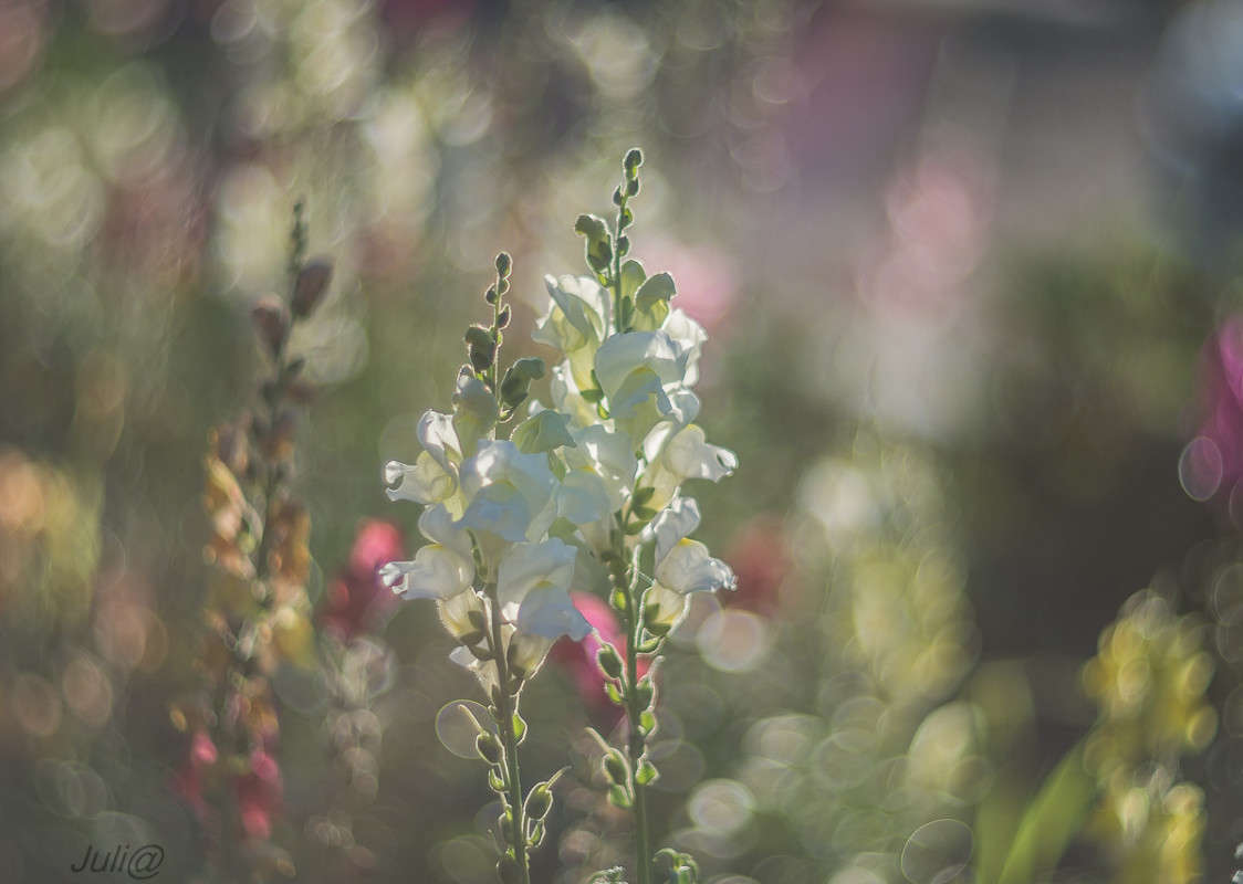 � �������� �������� �������... ����� ���� ��������� �� PhotoGeek.ru #������ ��� ������� #����� ��������������