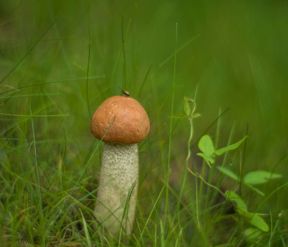 ... ����� ���� ��������� �� PhotoGeek.ru #����� #����� ��������������