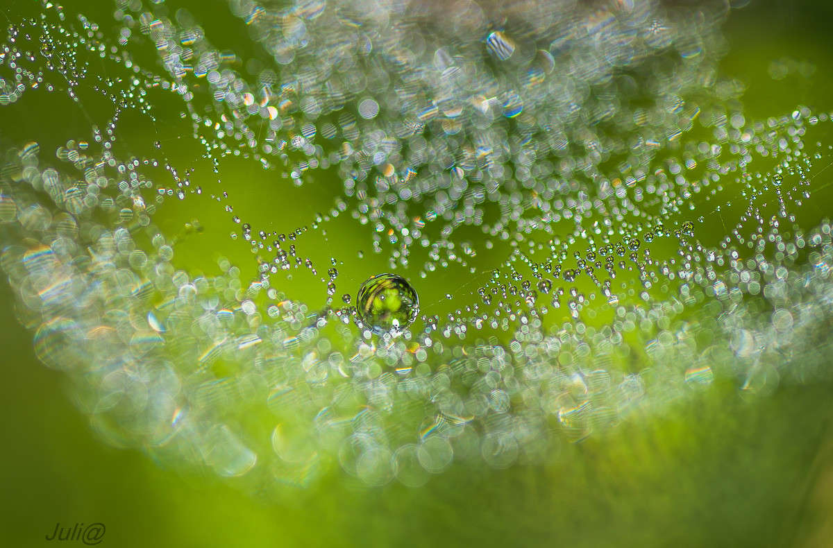 ���������...��� ���������...:) ����� ���� ��������� �� PhotoGeek.ru #�����