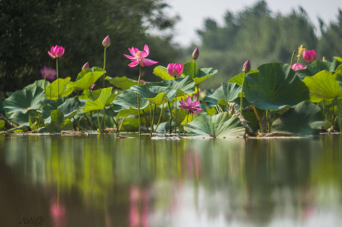 ������� "��������"... ����� ���� ��������� �� PhotoGeek.ru #������ ��� ������� #����� ��������������