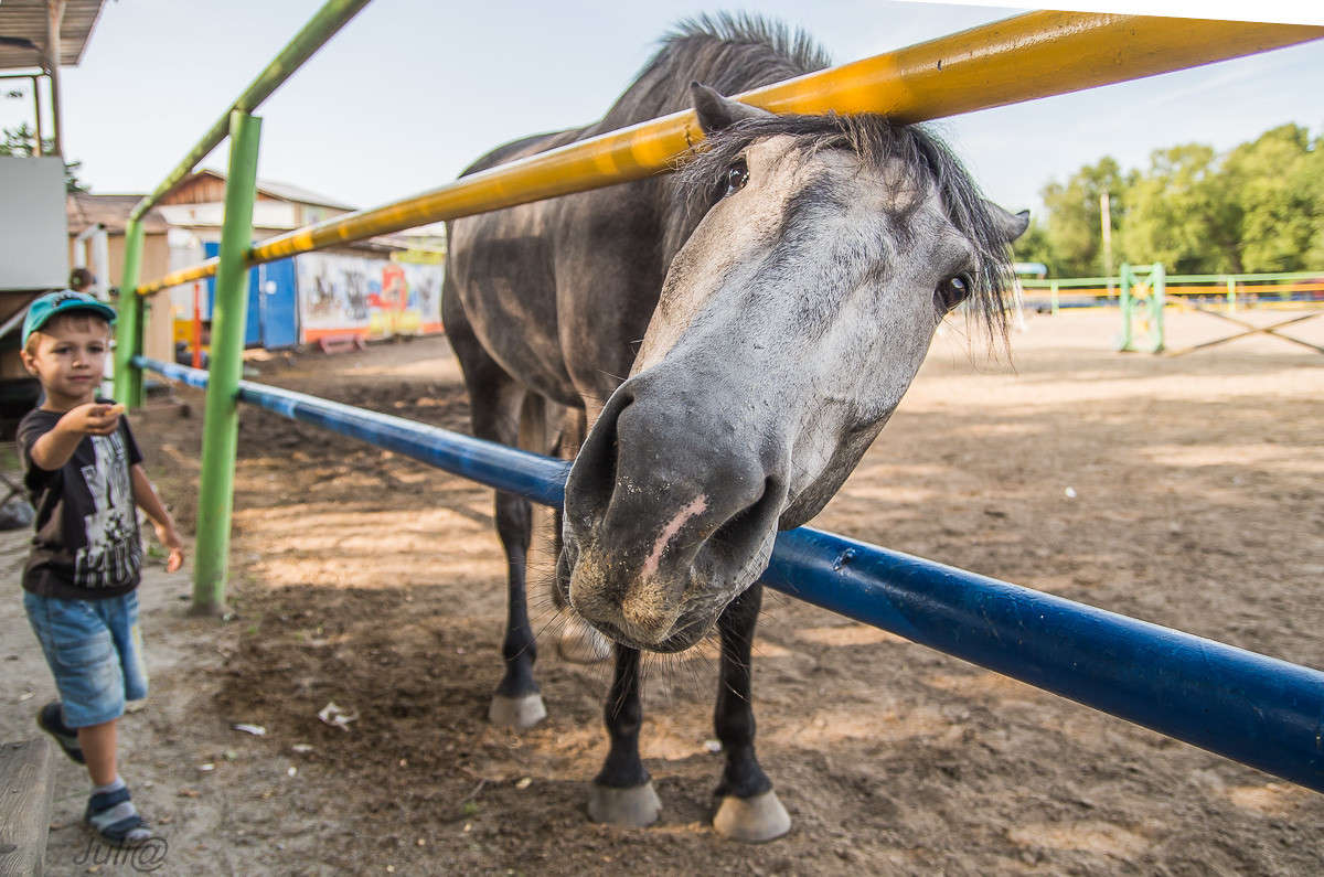 � ��� �� ����� �������...�? :))) ����� ���� ��������� �� PhotoGeek.ru #�������� ���