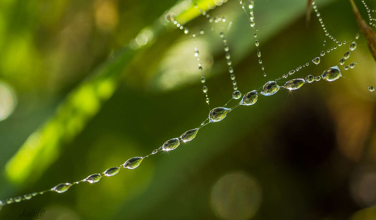 � ���� ������ ��������... ����� ���� ��������� �� PhotoGeek.ru #�����