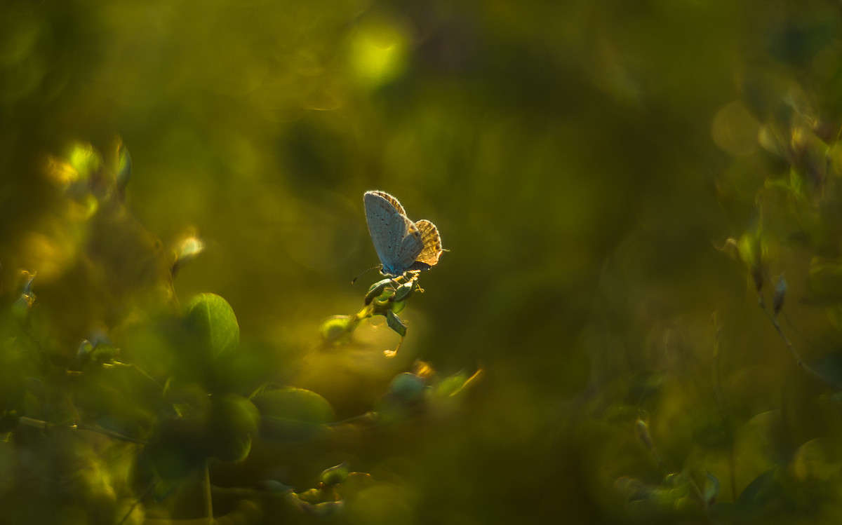� ������... ����� ���� ��������� �� PhotoGeek.ru #����� #���������