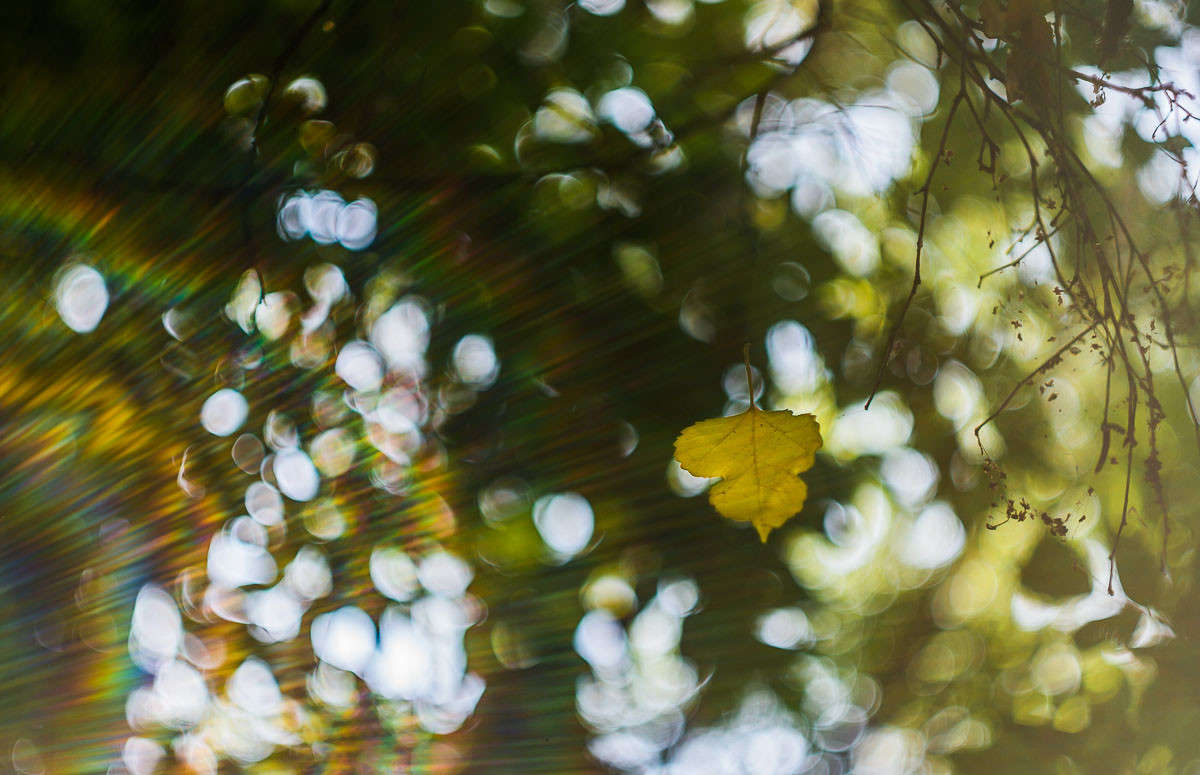 ��������� �����... ����� ���� ��������� �� PhotoGeek.ru #������ ��� ������� #������������