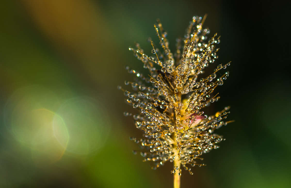 ����������� ����... ����� ���� ��������� �� PhotoGeek.ru #�����