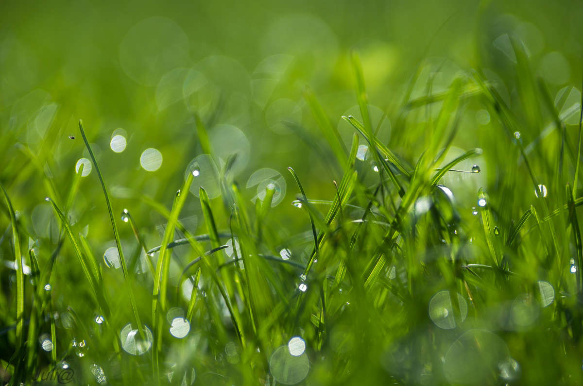 ������� �� ����������� �� ����... ����� ���� ��������� �� PhotoGeek.ru #�����