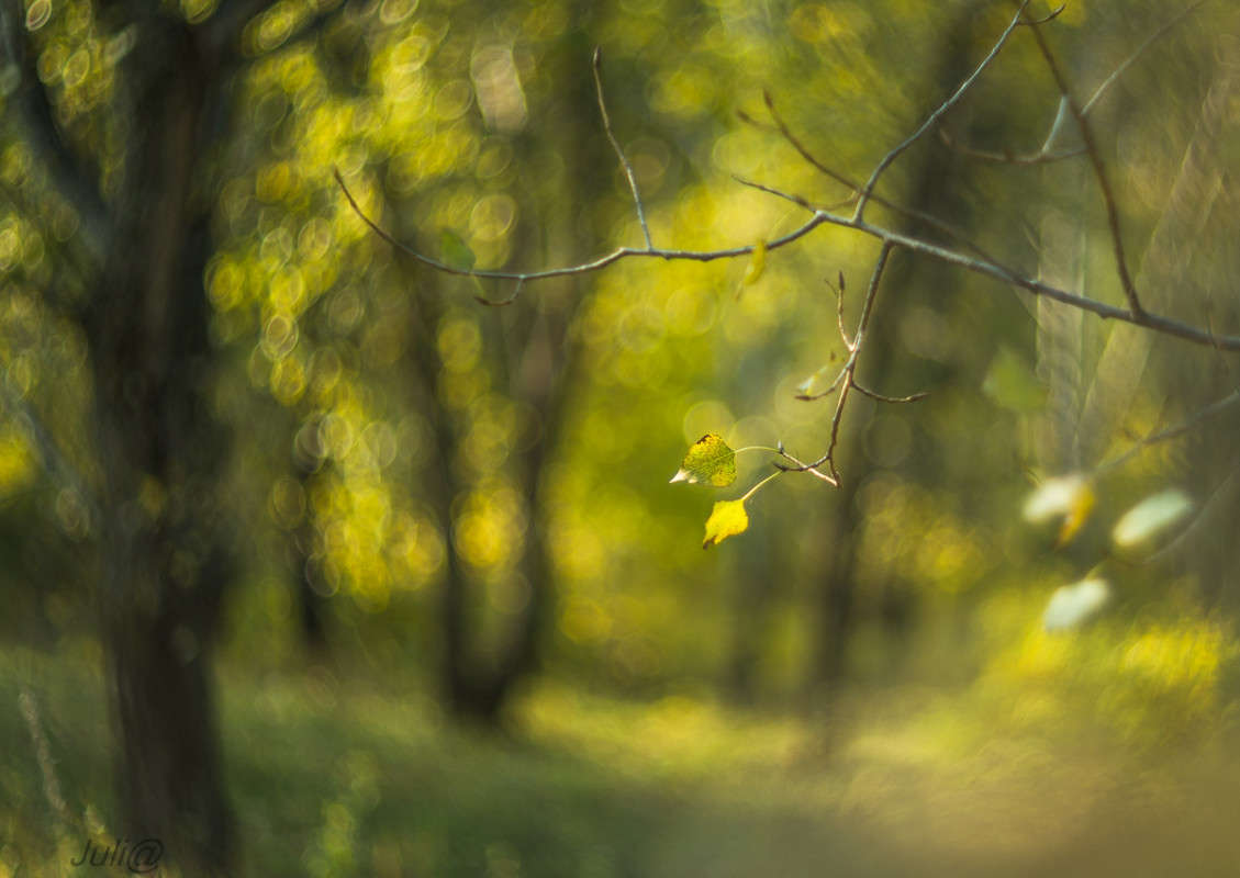 ��� ����� ����� ������: "�� ���������" ����� ���� ��������� �� PhotoGeek.ru #������ ��� ������� #���������