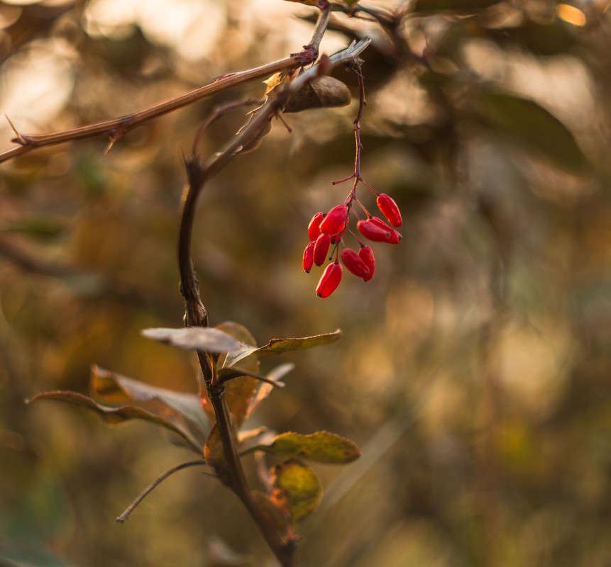 ����������... ����� ���� ��������� �� PhotoGeek.ru #������ ��� ������� #����� ��������������