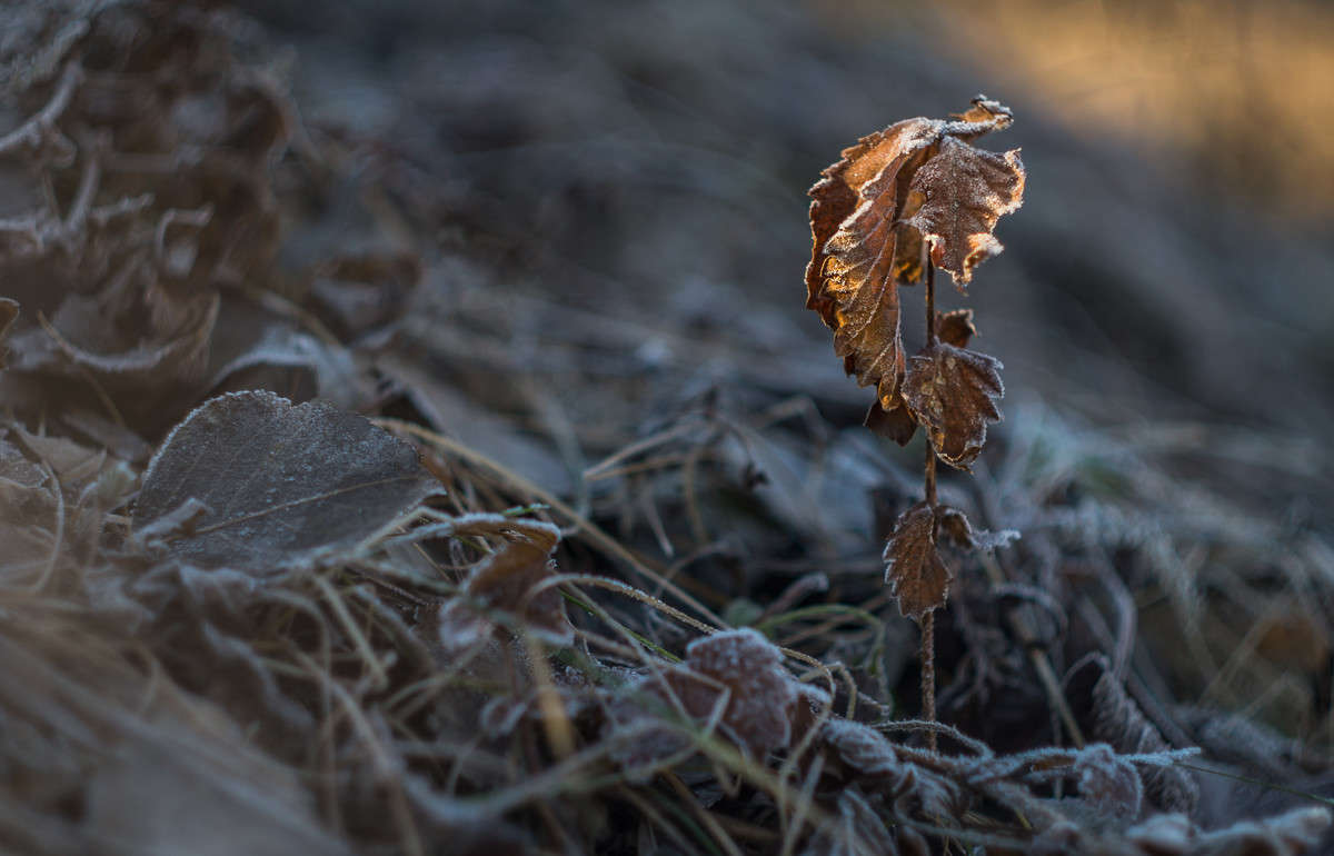 � �� ����� ������- ��������� �����... ����� ���� ��������� �� PhotoGeek.ru #������ ��� ������� #��������� #����� ��������