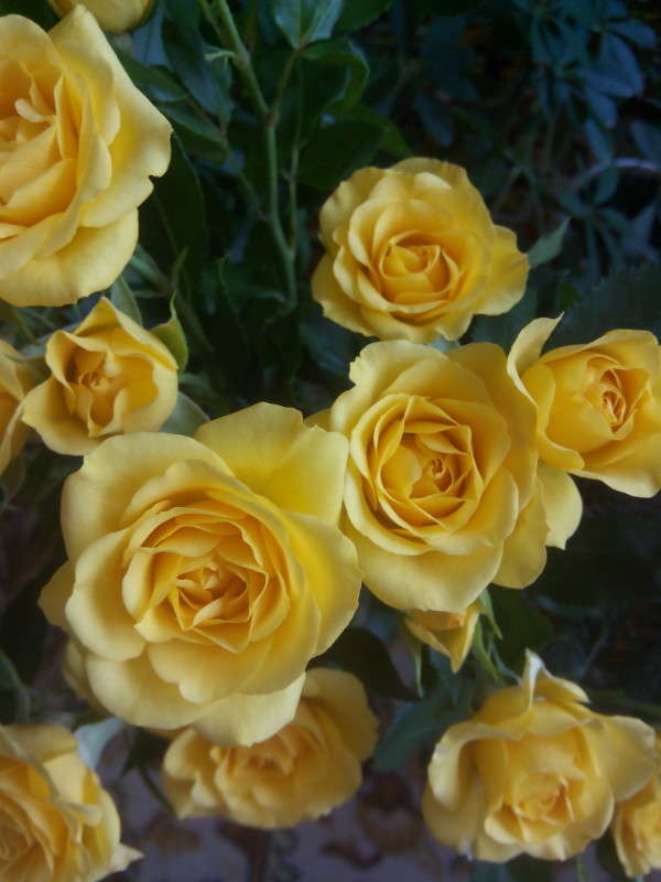 ... ����� ����  �� PhotoGeek.ru #�����