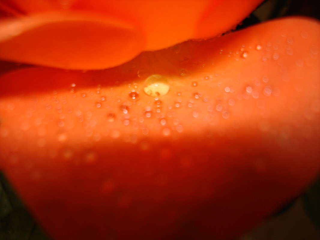 ... ����� ����  �� PhotoGeek.ru #�����