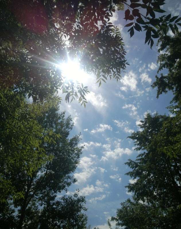 ���� ������������ ����� ������� ������� �� PhotoGeek.ru #����� #������ ��� ������� #������ ������ #��������� ������