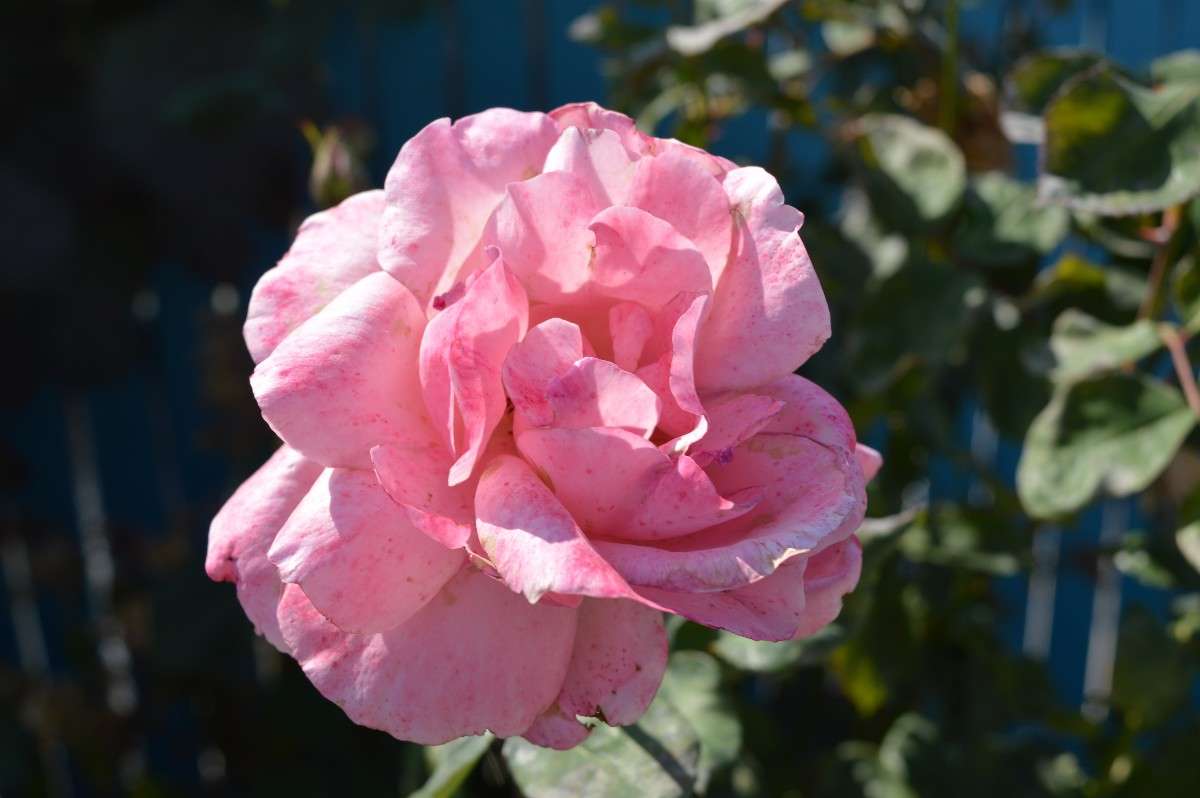 ... ����� John Spatari �� PhotoGeek.ru #����� #����� ��������������